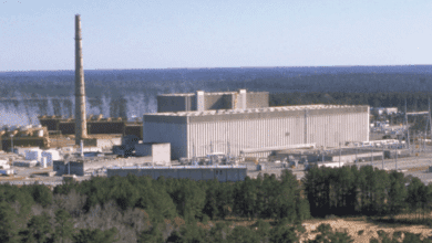 Hatch Nuclear Power Plant Cyber-Kinetic