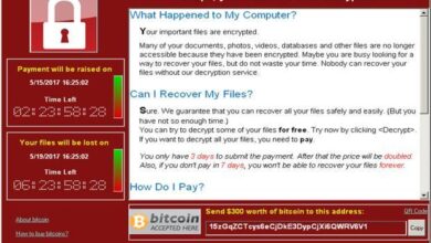 Ransomware Cyber-Kinetic