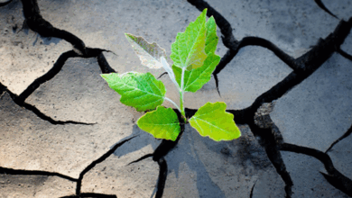 Enterprise Resilience