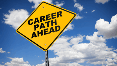 Interim Management Career