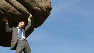 What is interim management