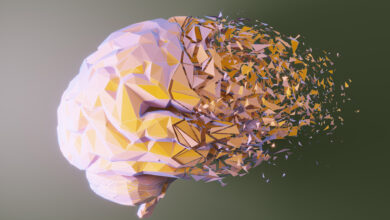 AI Model Fragmentation