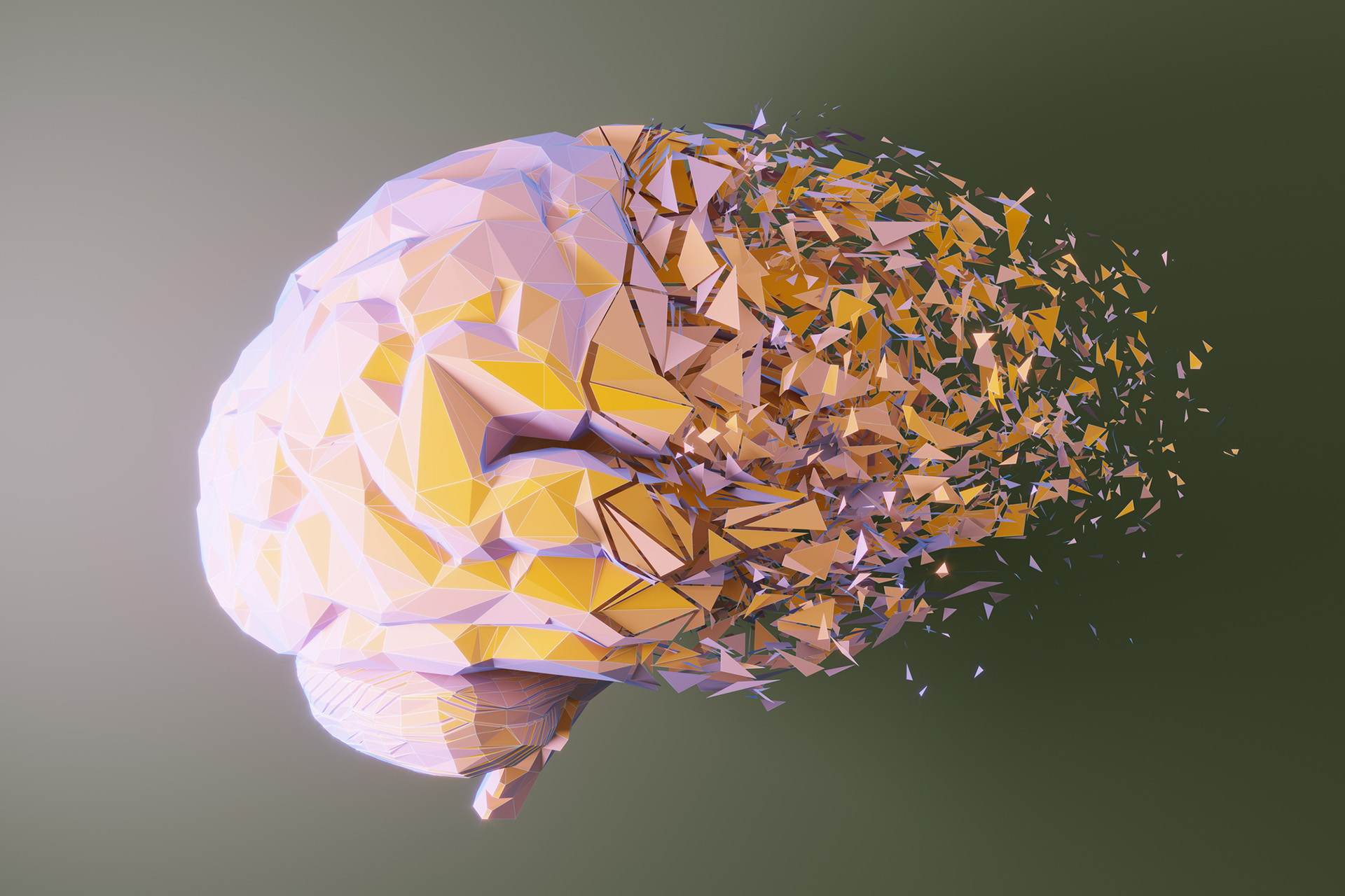 AI Model Fragmentation