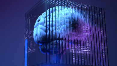 Adversarial Attacks AI Security