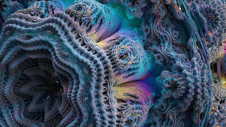 Biological Quantum Computing