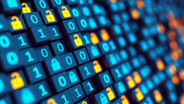 Dynamic Data Masking ML