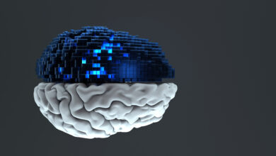 Model Evasion AI