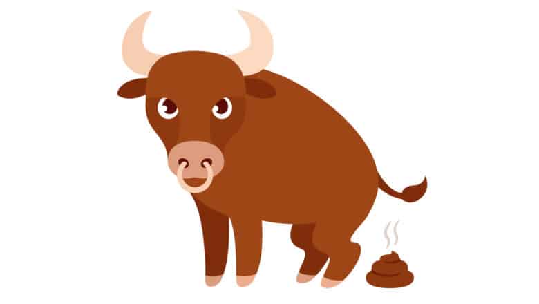 RSA-2048 Factorization BS