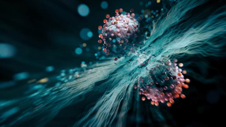 Quantum Cellular Automata in Living Cells