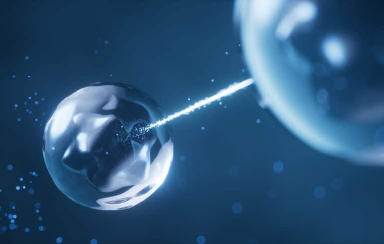 Quantum Teleportation Quantum Networks