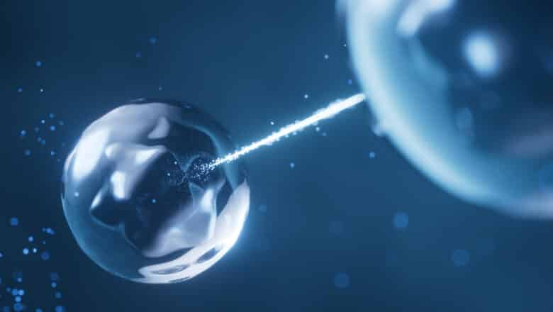 Quantum Teleportation Quantum Networks