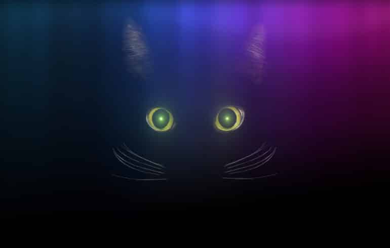 Cat Qubit