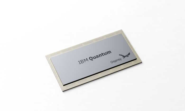 IBM Osprey Quantum Chip