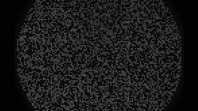Caltech 6100-qubit