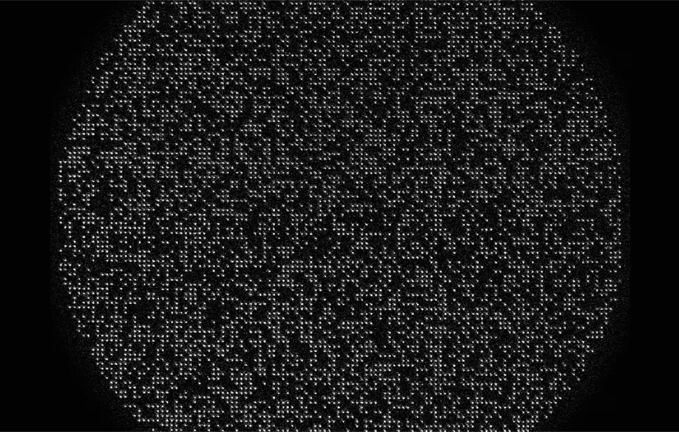 Caltech 6100-qubit