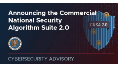 NSA CNSA 2.0
