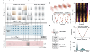Neutral Atom Fault Tolerance
