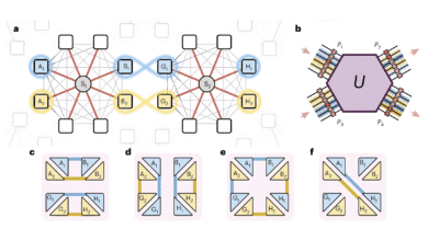 Linking Two Quantum Networks