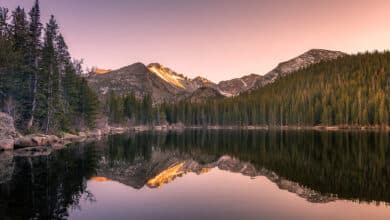 Colorado Quantum Q-PAC QOA