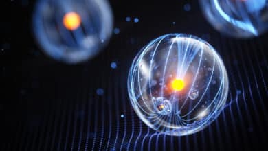 1000 qubit upper limit