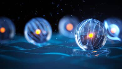 Neutral Atom Quantum Ecosystem