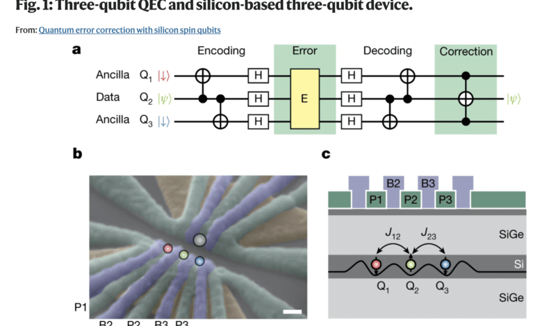 Silicon Quantum Error Correction
