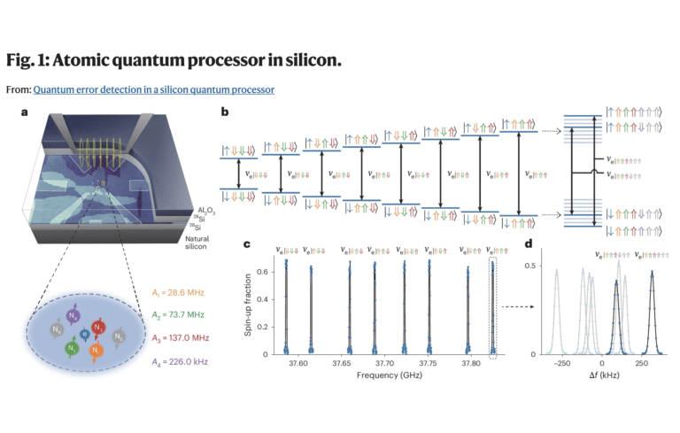 Silicon Quantum Error Detection