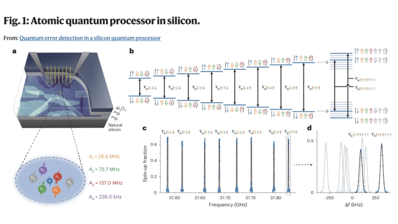 Silicon Quantum Error Detection