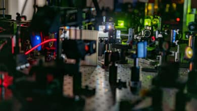 Trapped-Ion Optical Table Quantum Ecosystem