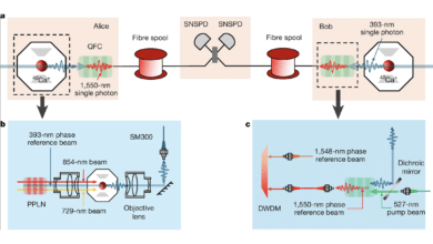 USTC Quantum Repeater
