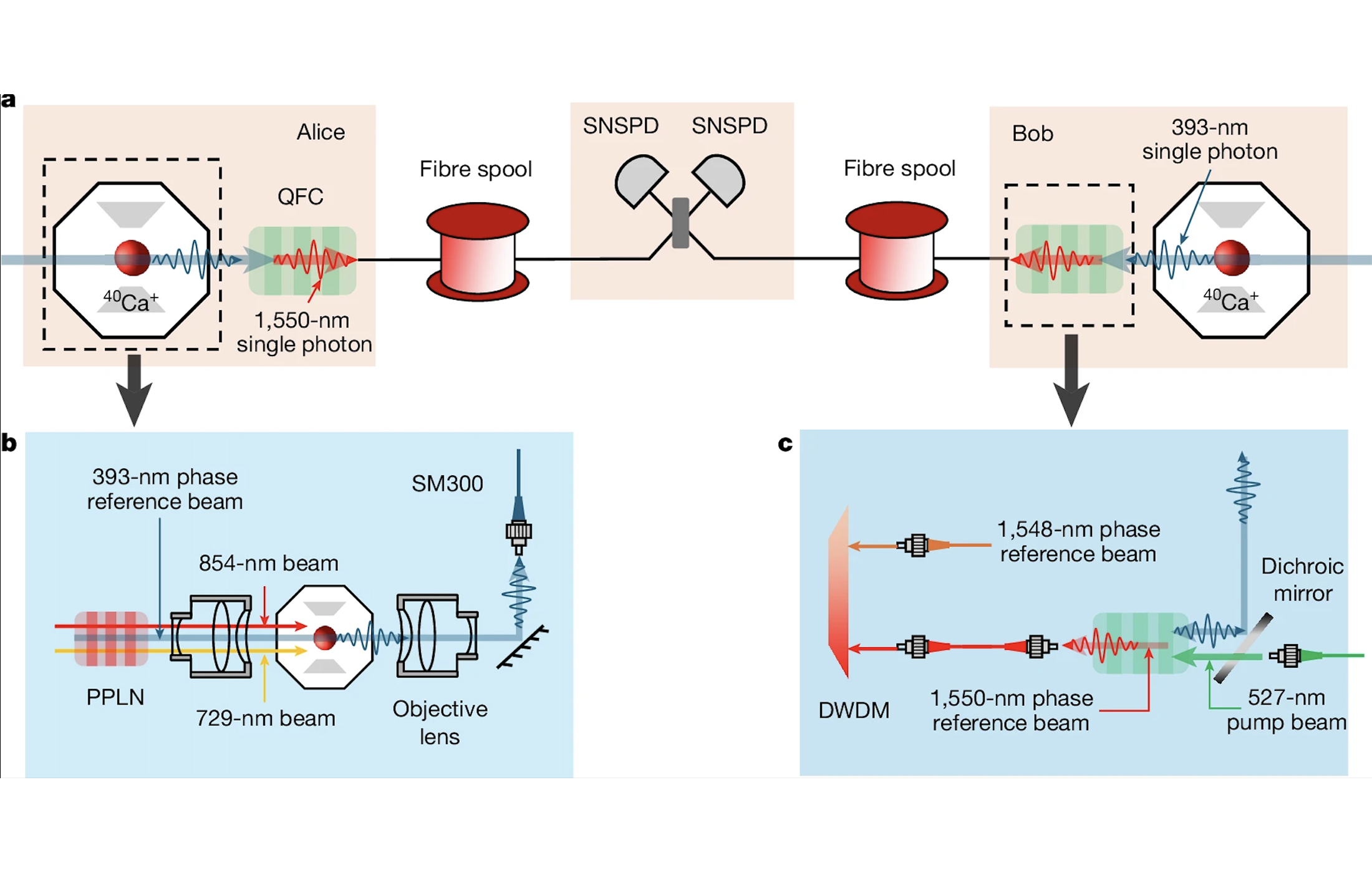 USTC Quantum Repeater