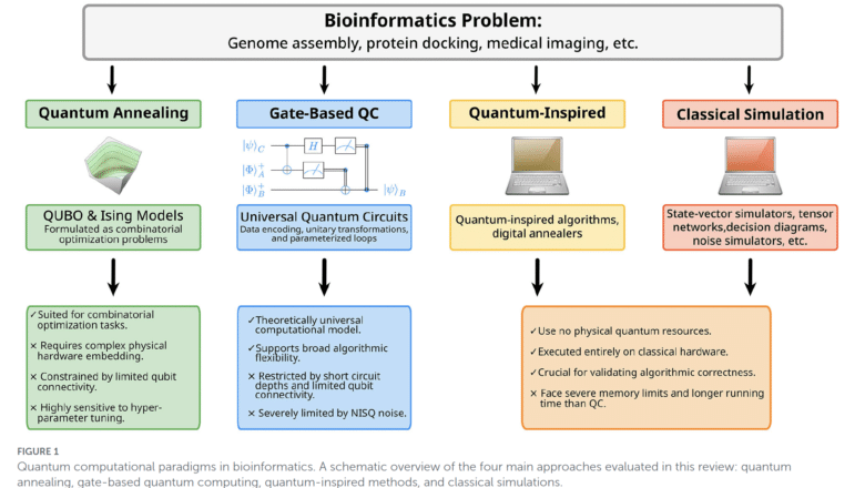 Quantum Bioinformatics
