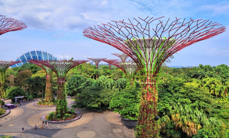 Singapore PQC